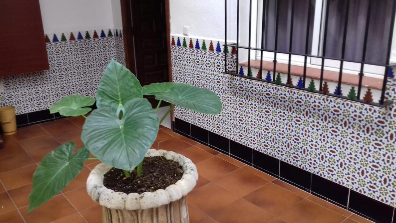 Patio Pompeyos Lejlighed Córdoba Eksteriør billede